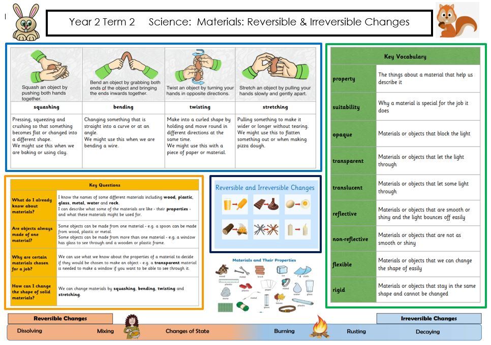 Knowledge year 2 t2